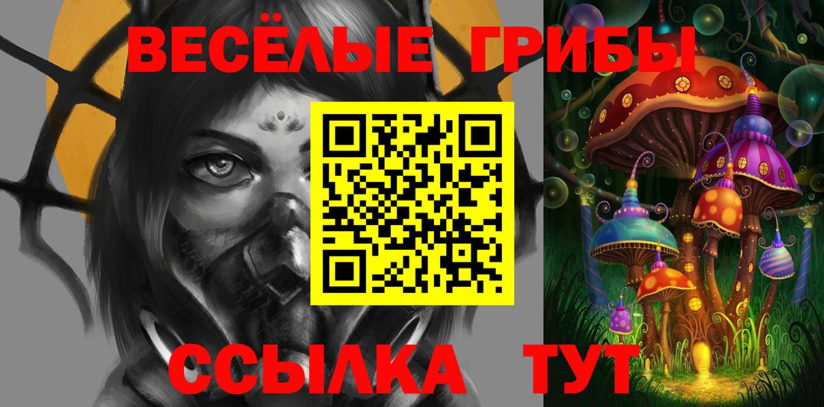 Псилоцибиновые грибы GOLDEN TEACHER Борисоглебск